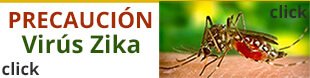 virus zika