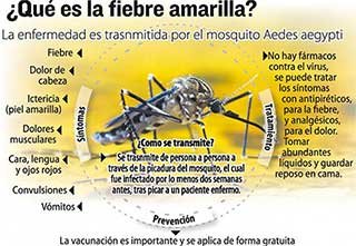 fiebre amarilla viaje brasil